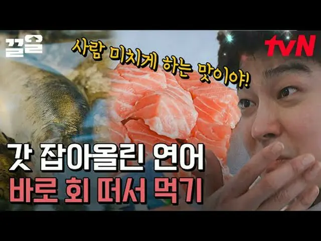 티빙에서 스트리밍 :  <br><br>#tvN #텐트밖은유럽노르웨이 #끌올      <br>tvN 레전드 예능 끌어~ 올려↗↗<br><br>#티