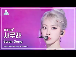 [#최애직캠]  르세라핌_ _  SAKURA (르세라핌_  사쿠라) - Swan Song | 쇼! 음악중심 | MBC240224방송<br><br