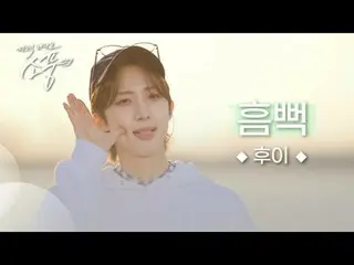 후이 – 흠뻑(Hmm BOP) | 피크닉라이브 소풍 | 2024.05.31.<br>
<br>
후이씨의 첫 솔로앨범의 타이틀곡 ‘흠뻑’<br>
피