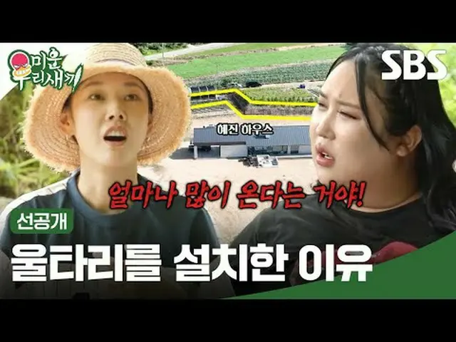 울타리를 설치한 이유<br>#ハン・ヘジン（女優）_  #풍자 #혜진하우스 <br>#SBS일요예능 #미운우리새끼 #MyLittleOldBoy #미우