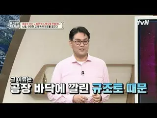 티빙에서 스트리밍 :  <br>
<br>
162회 | 죽음의 상인 노벨은 왜 노벨상을 만들었나!<br>
<br>
〈벌거벗은 세계사〉<br>
[화