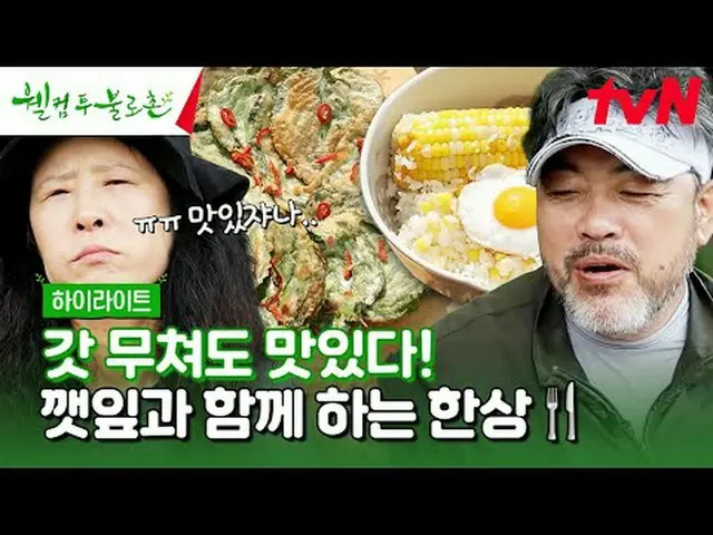티빙에서 스트리밍 :  <br><br>#웰컴투불로촌 #이원종 #황석정<br>웰컴투 불로촌 EP.31<br><br>무병장수와 불로장생의 꿈이 현실