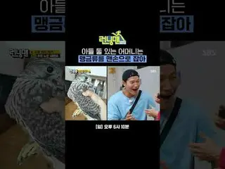 아들 둘 있는 어머니는 맹금류를 맨손으로 잡아<br>
#유재석_  #지석진 #김종국_  #하하 #송지효_  #양세찬 #지예은<br>
#SBS일요