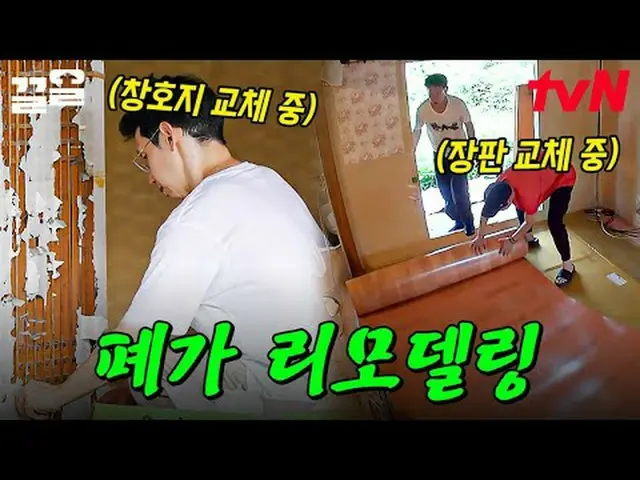 티빙에서 스트리밍 :  <br><br>#tvN #해치지않아<br>#끌올 tvN 레전드 예능 끌어~ 올려↗↗<br><br>#티빙에서스트리밍