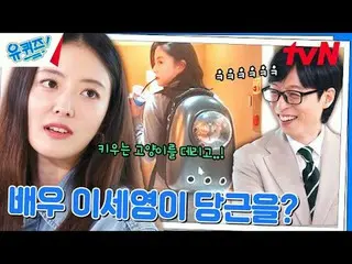 티빙에서 스트리밍 :  <br>
<br>
#유퀴즈 #유재석_  #조세호<br>
유퀴즈온더블럭 YOU QUIZ ON THE BLOCK EP.262