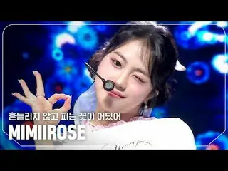 미미로즈_ (MIMIIROSE_ ) - 흔들리지 않고 피는 꽃이 어딨어<br>
<br>
#쇼챔피언 #MIMIIROSE_  #흔들리지_않고_피는_