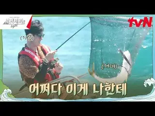 티빙에서 스트리밍 :  <br>
<br>
#삼시세끼Light #삼시세끼 #차승원_  #유해진_ <br>
삼시세끼 Light EP.5<br>
<b