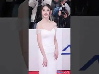 241129 Blue Dragon Film Awards Red carpet Gong Seungyeon_  by 스피넬<br>
* Do not e