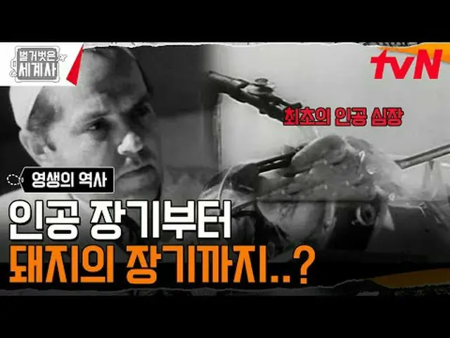티빙에서 스트리밍 :  <br><br>181회 | 늙지도 죽지도 않으려는 인간의 욕망, 영생의 역사<br>〈벌거벗은 세계사〉<br>[화] 밤 1