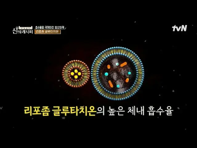 티빙에서 스트리밍 :  <br><br>세상의 모든 음식과 신의 recipe 만나면 요리가 더 맛있고, 더 건강해집니다.<br>당신을 살리는 신의