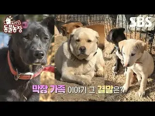 #신동엽 #전소니（チョン・ソンヒ）_  #トニー・アン（에이치오티）_  #조이<br>
#TV동물농장 #AnimalFarm #예고<br>
<br>
S