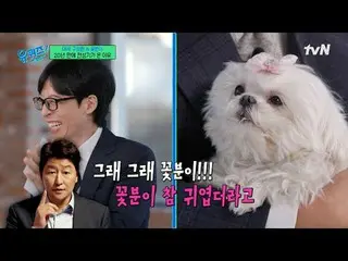 티빙에서 스트리밍 :  <br>
<br>
#유퀴즈 #유재석_  #조세호<br>
유퀴즈온더블럭 YOU QUIZ ON THE BLOCK EP.279