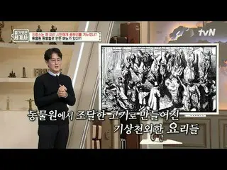 티빙에서 스트리밍 :  <br>
<br>
190회 | 혁명의 나라 프랑스는 왜 신생제국 독일에 무너졌나?<br>
<br>
〈벌거벗은 세계사〉<b