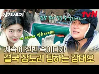 티빙에서 스트리밍 :  <br>
<br>
감자 드라마를 찍다가 감자에 푹~ 빠진 사람들의 맛있는 감자 연구가 시작된다!<br>
tvN 힐링 코믹