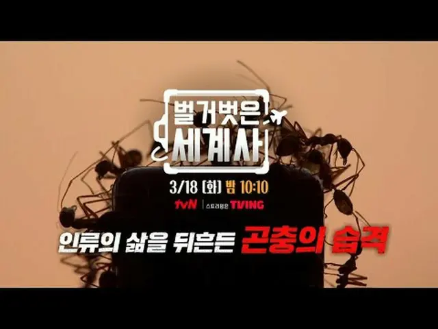 티빙에서 스트리밍 :  <br><br>＜벌거벗은 세계사＞<br>[화] 밤 10:10 tvN 방송<br><br>#벌거벗은세계사 #ウン・ジウォン（젝