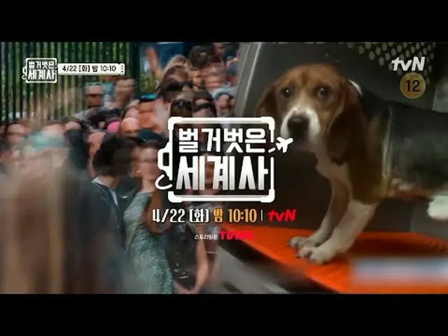 티빙에서 스트리밍 :  <br><br>＜벌거벗은 세계사＞<br>[화] 밤 10:10 tvN 방송<br><br>#벌거벗은세계사 #ウン・ジウォン（젝