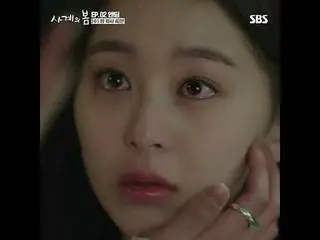 케이팝_  최고 밴드그룹의 스타 '사계'가 팀에서 퇴출당하고, 우여곡절 시작된 대학 생활 중 운명처럼 '김봄'을 만나 멋지게 재기하는 청춘 음악