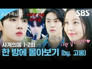 케이팝_  최고 밴드그룹의 스타 '사계'가 팀에서 퇴출당하고, 우여곡절 시작된 대학 생활 중 운명처럼 '김봄'을 만나 멋지게 재기하는 청춘 음악