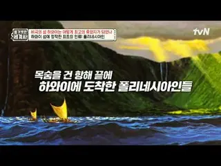 티빙에서 스트리밍 :  <br>
<br>
203회 | 비극의 섬 하와이는 어떻게 세계 최고 휴양지가 되었나?<br>
<br>
〈벌거벗은 세계사〉
