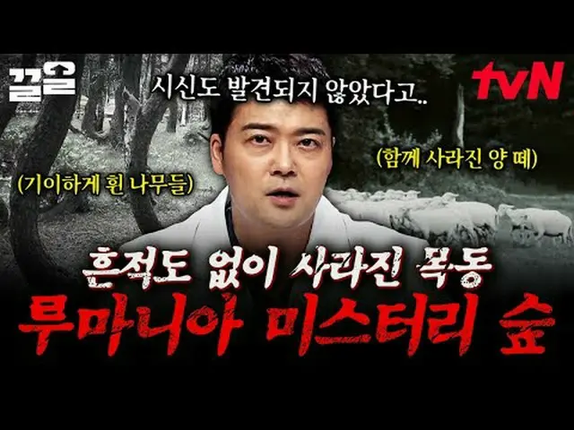 티빙에서 스트리밍 :  <br><br>#tvN #프리한19 #끌올<br>tvN 레전드 예능 끌어~ 올려↗↗<br><br>프리한19 free19<