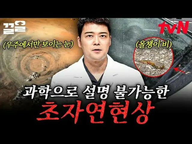 티빙에서 스트리밍 :  <br><br>#tvN #프리한19 #끌올<br>tvN 레전드 예능 끌어~ 올려↗↗<br><br>프리한19 free19<