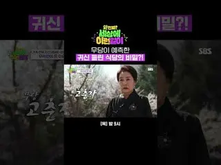 무당이 예측한 귀신 들린 식당의 비밀<br>
#전현무_  #백지영_  #김호영 #수빈<br>
#SBS목요예능 #와진짜세상에이런일이 #Whaton
