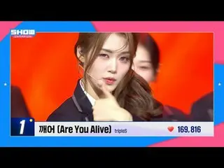 #쇼챔피언 #아이돌챔프 #STAGE_CHAM_ _ PION<br>
<br>
백퍼센트_ _  팬들의 투표로 최고의 쇼챔 무대를 뽑는 STAGE C