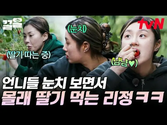 티빙에서 스트리밍 :  <br><br>#tvN #해치지않아X스우파 #끌올<br>tvN 레전드 예능 끌어~ 올려↗↗<br><br>#티빙에서스트리밍