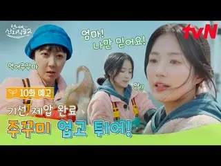 티빙에서 스트리밍 :  <br>
<br>
[언니네 산지직송2]<br>
✔ [일] 저녁 7:40 tvN<br>
<br>
#tvN #언니네산지직송2