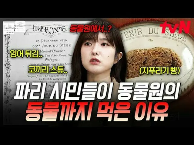 티빙에서 스트리밍 :  <br><br>#tvN #벌거벗은세계사 #끌올<br>tvN 레전드 예능 끌어~ 올려↗↗<br><br>📚 온택트 스토리텔