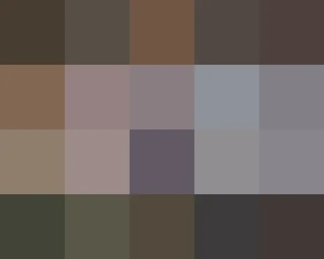 ** 카이 자일레 (Jia_ le Cai 蔡嘉乐) 인스타그램  