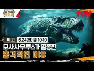 티빙에서 스트리밍 :  <br>
<br>
＜벌거벗은 세계사＞<br>
[화] 밤 10:10 tvN 방송<br>
<br>
#벌거벗은세계사 #ウン・ジ