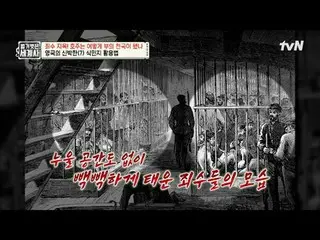 티빙에서 스트리밍 :  <br>
<br>
210회 | 죄수들의 지옥! 호주는 어떻게 부의 천국이 되었나?<br>
<br>
〈벌거벗은 세계사〉<b
