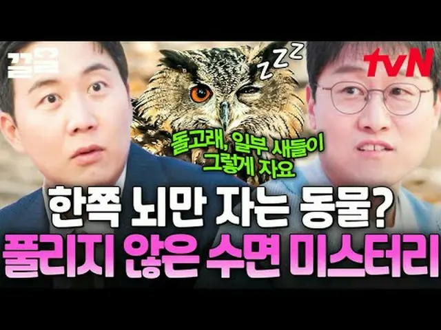 티빙에서 스트리밍 :  <br><br>#tvN #문과vs이과놀라운증명 #끌올<br>tvN 레전드 예능 끌어~ 올려↗↗<br><br>#티빙에서스트