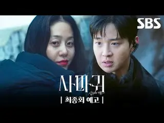 잔혹한 연쇄살인마 '사마귀'가 잡힌지 20년이 지나 모방범죄가 발생하고, 이 사건 해결을 위해 한 형사가 평생을 증오한 '사마귀'인 엄마와 예상