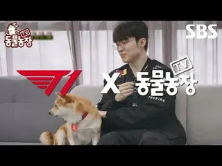 #신동엽 #전소니（チョン・ソンヒ）_  #トニー・アン（에이치오티）_  #조이<br>
#SBS교양 #TV동물농장 #동물농장 #AnimalFarm #