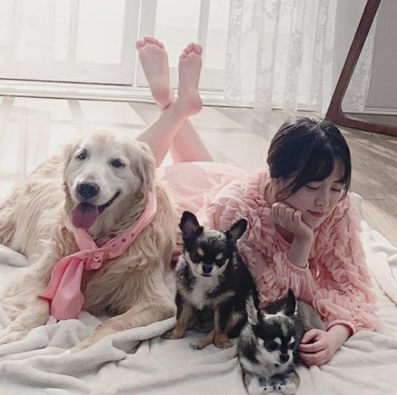 배우 구혜선 애견의 마지막을 지키면서 가족 사진 촬영