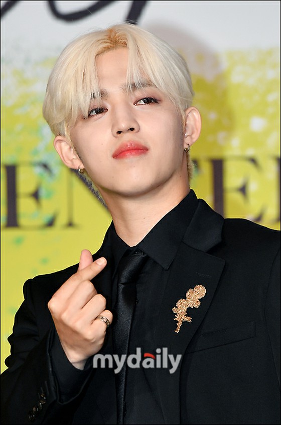 [공식] S.COUPS (세븐틴), 어깨 부상으로 그룹 활동에 "불참"