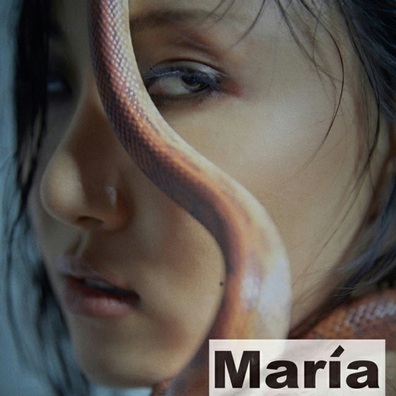 화사 (마마 무) 신곡 'Maria'가 중국에서 뜨거운 반응 ... 외교부 대변인 기자 회견 BGM으로
