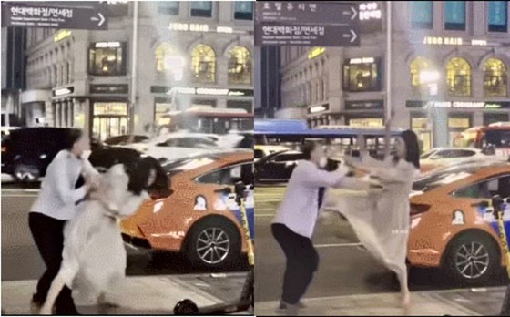 만취 여성이 택시 운전사 남성에게 폭행하는 영상이 퍼지고 '주란 문화에 경계'=한국 보도