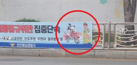 교통법 위반 라이더를 '개'로 표현한 경찰, 횡단막을 내걸기도 철거=한국