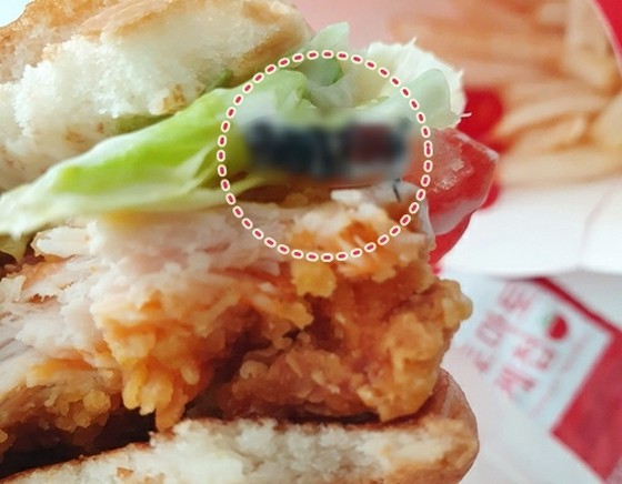 입끝만의 '위생관리 철저'…맥도날드의 햄버거 이물은 벌레라고 판명 = 한국