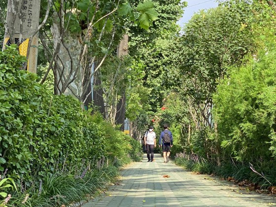 서울시가 10만미터의 가로수길을 조성, 미세먼지 저감을 향해