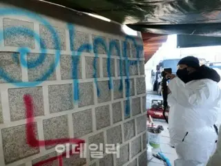 한국·서울의 경복궁에의 낙서, 10대 소년들이 짊어지게 된 무거운 대상