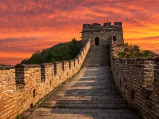 '자이언트 팬더 국가보호연구센터 베이징기지', 2025년 개원=중국보도