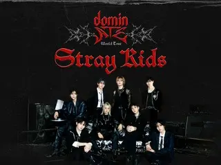 'Stray Kids' 북미 투어 성공적으로 종료, 전세계 미디어와 팬들로부터 찬사와 앙코르를 요구하는 목소리도