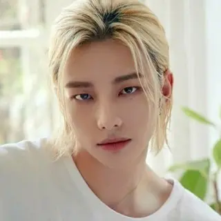 Hyun Jin（Stray Kids）