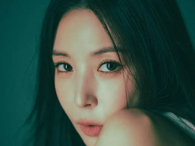 BoA, Instagram 재개… 12, 13일 콘서트 'BoA One's Own 2024' 개최