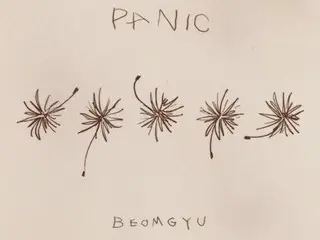 'TOMORROW X TOGETHER' BEOMGYU, 27일 첫 솔로믹 스테이프 'Panic' 공개… 따뜻한 감성